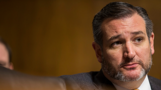 Ted Cruz Claims That One Person Likes His Beard